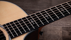 Taylor 414ce Next Generation 