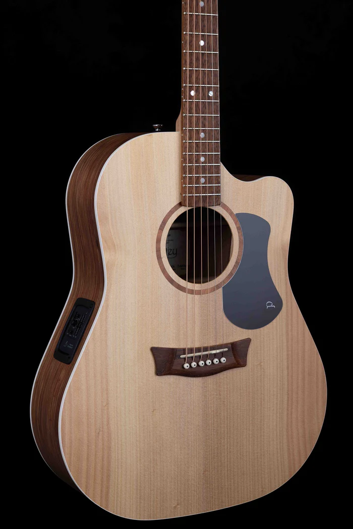 Classic  Dreadnought Cutaway Solid Bunya Top, Solid Blackwood B/S