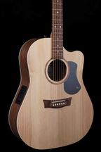 Classic  Dreadnought Cutaway Solid Bunya Top, Solid Blackwood B/S