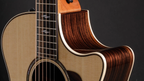 Taylor 814ce V-Class - Natural