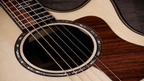 Next Generation Builder's Edition 814ce Indian Rosewood/Adirondack Spruce 2026