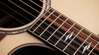 Next Generation Builder's Edition 814ce Indian Rosewood/Adirondack Spruce 2026