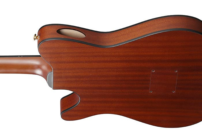 Ibanez FRH10NBSF Thinline Nylon Acoustic-electric Guitar - Brown Sunburst