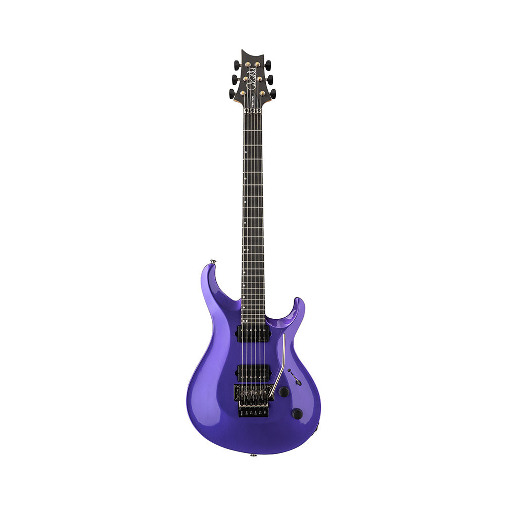 PRS Tekton Floyd Purple Royale - full front view