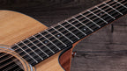 Ebony fingerboard with acrylic dot inlays under the twelve strings