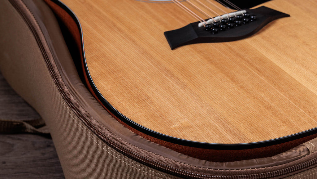 Ebony bridge with black pins and Micarta saddle, resting in the included gig bag