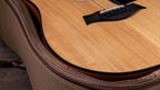 Ebony bridge with black pins and Micarta saddle, resting in the included gig bag