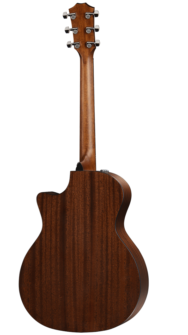 Taylor 314ce - Sapele Back and Sides with V-class Bracing