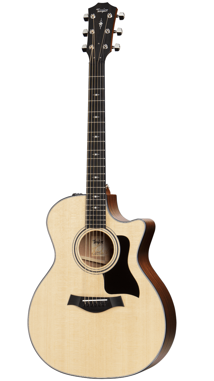 Taylor 314ce - Sapele Back and Sides with V-class Bracing