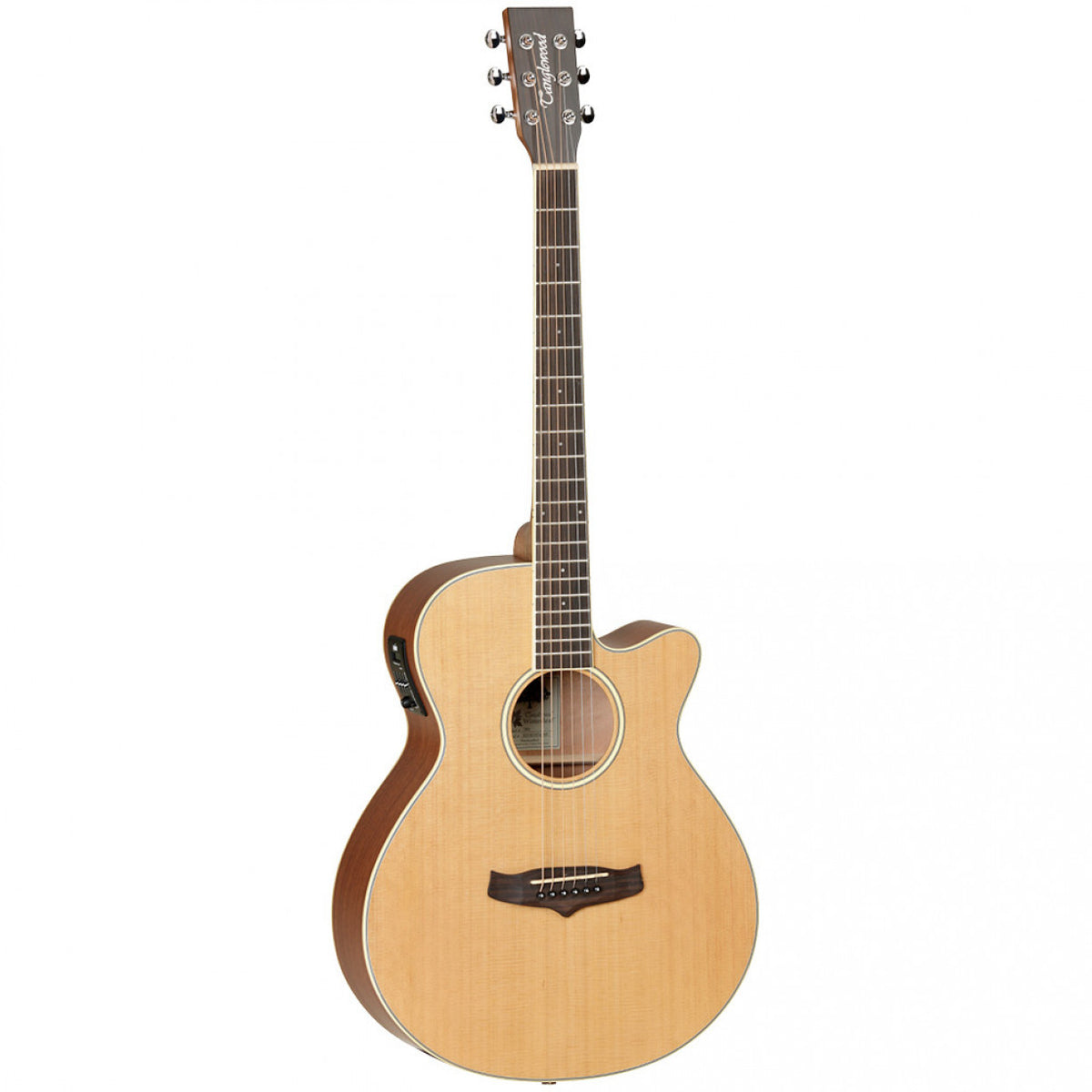 Tanglewood TW9 Winterleaf Acoustic Electric Guitar